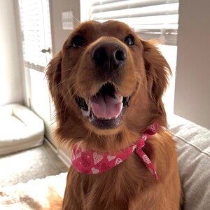 Team Page: Team Jawesome